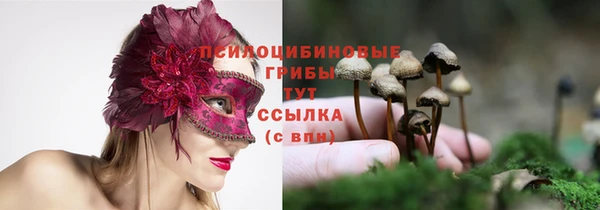 хмурый Верхний Тагил
