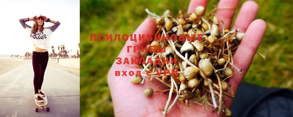 хмурый Верхний Тагил