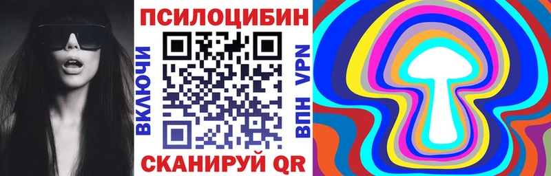 Галлюциногенные грибы Psilocybe  мега рабочий сайт  Губаха  где купить наркотик 