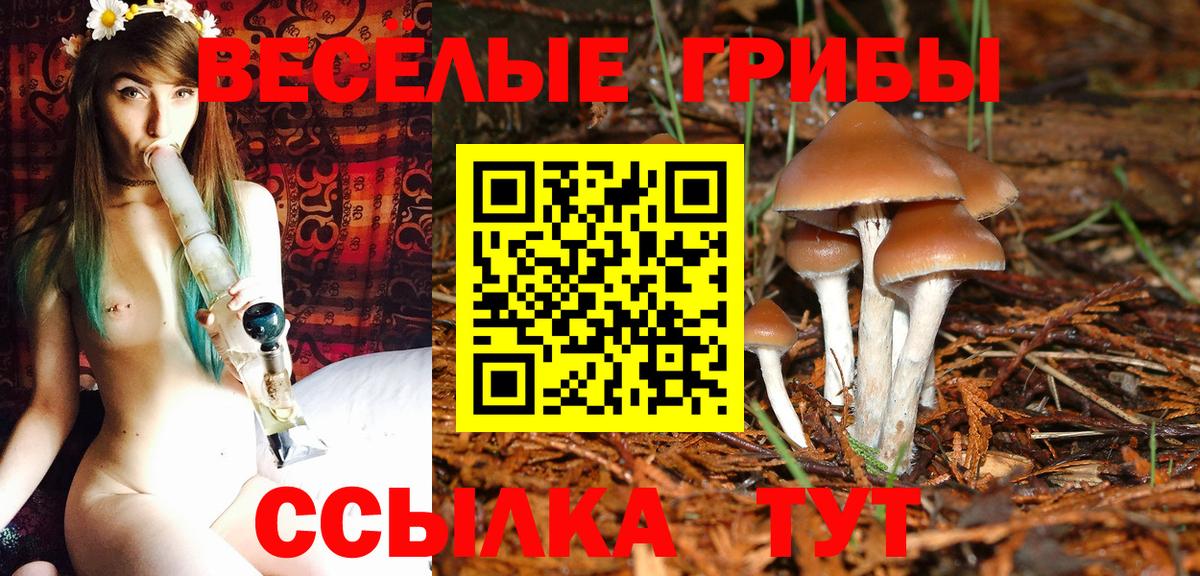 Псилоцибиновые грибы ЛСД  Вход с VPN  Губаха 