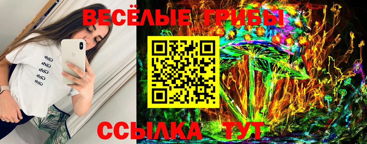 Псилоцибиновые грибы Psilocybe Губаха