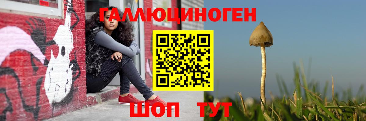 Псилоцибиновые грибы Psilocybine cubensis Губаха